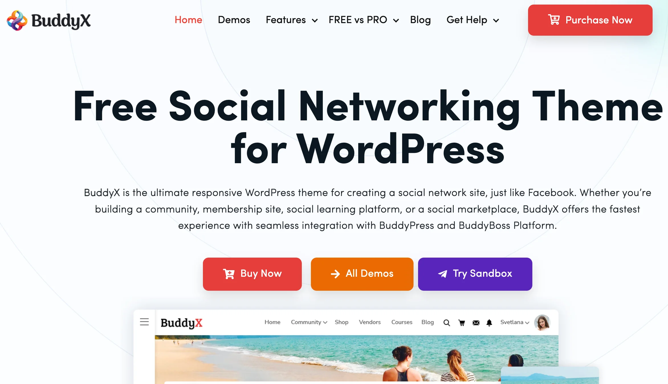 buddyxtheme